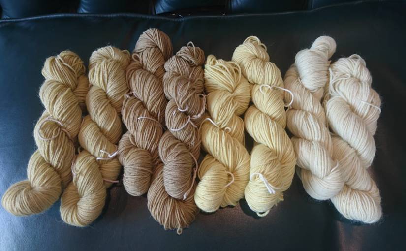 First time yarn dyeing – ooohh exicting!